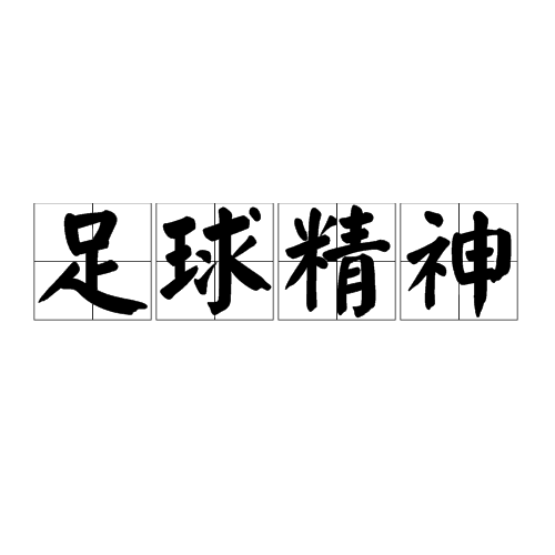 黑白直播免费体育直播-足球比赛中蕴含的精神力量叩人心扉