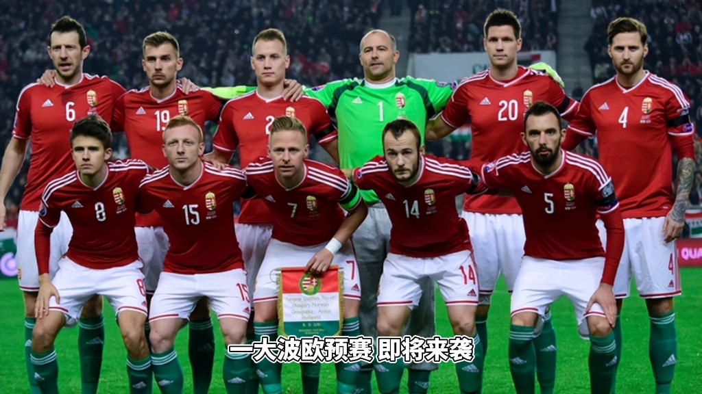 黑白直播在线观看-包含捷克大胜爱沙尼亚，欧预赛前景一片光明的词条