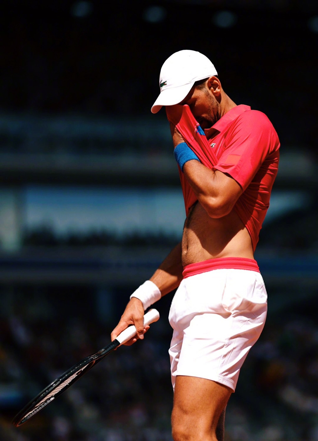 关于世界网球队险胜意大利网球队,德约科维奇高光表现的信息 关于世界网球队险胜意大利网球队,德约科维奇高光表现的信息