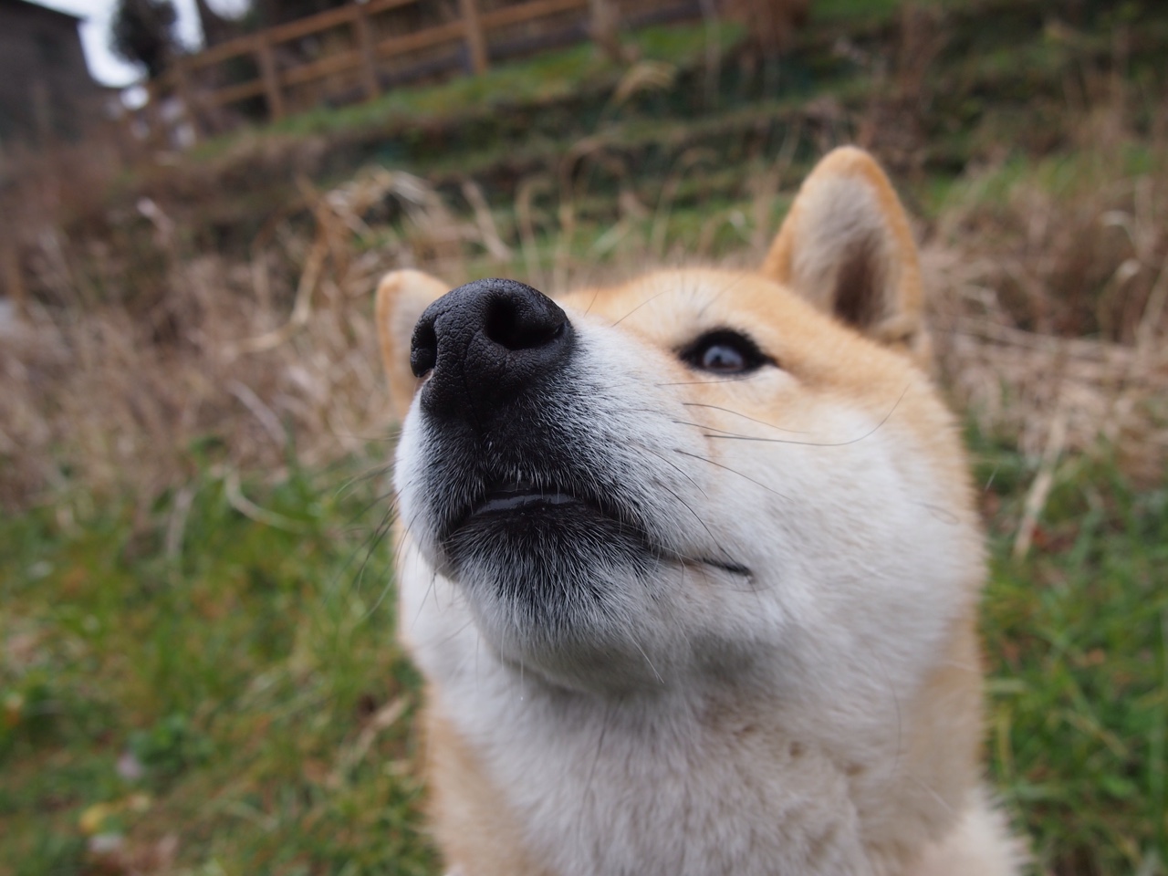 奥运周期关键战焦点战，勇士提前终结悬念雷霆，王朝余晖与新星崛起的时代交汇