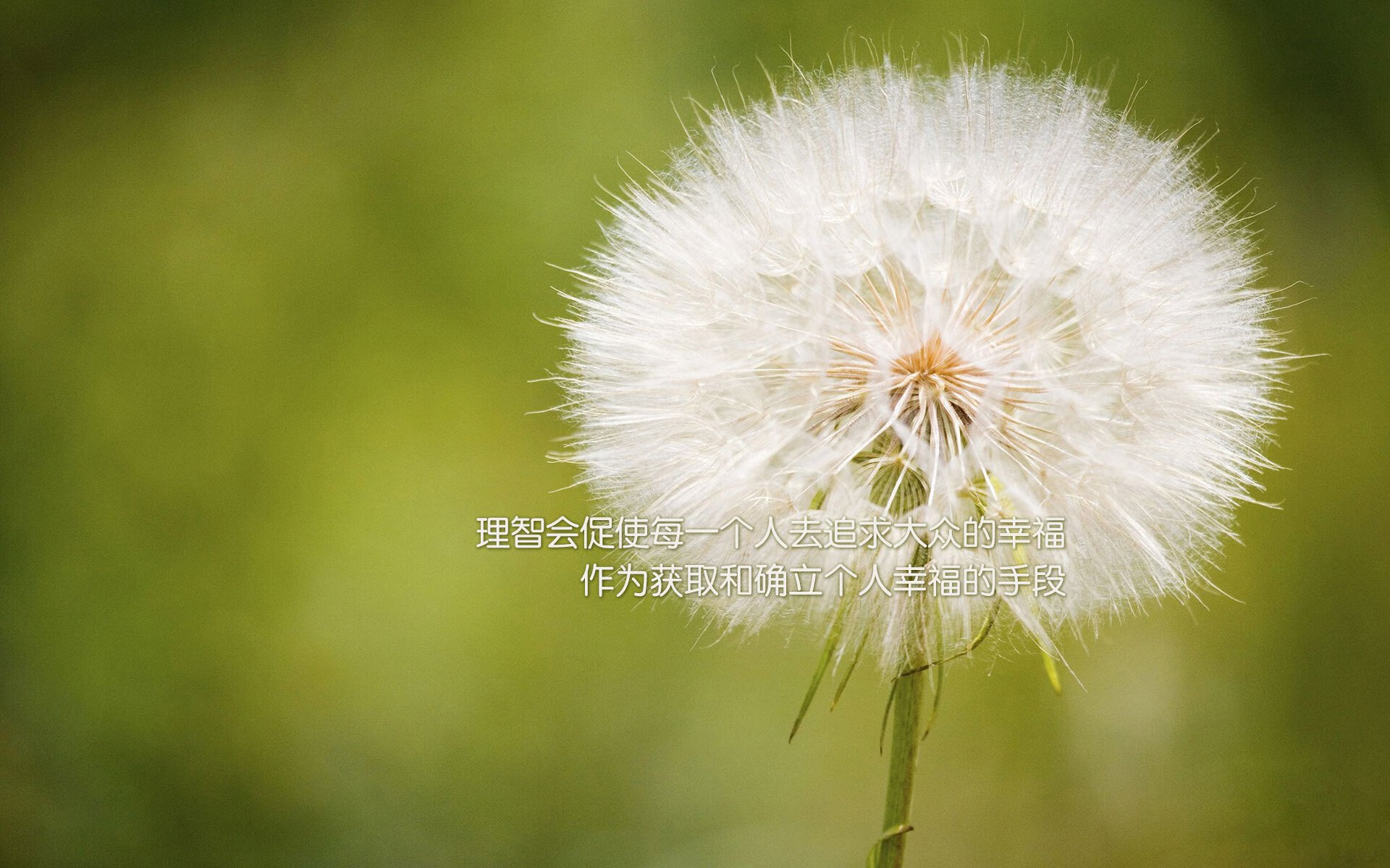 范弗利特38分难救主，爵士极限绝杀引爆能源方案球馆！