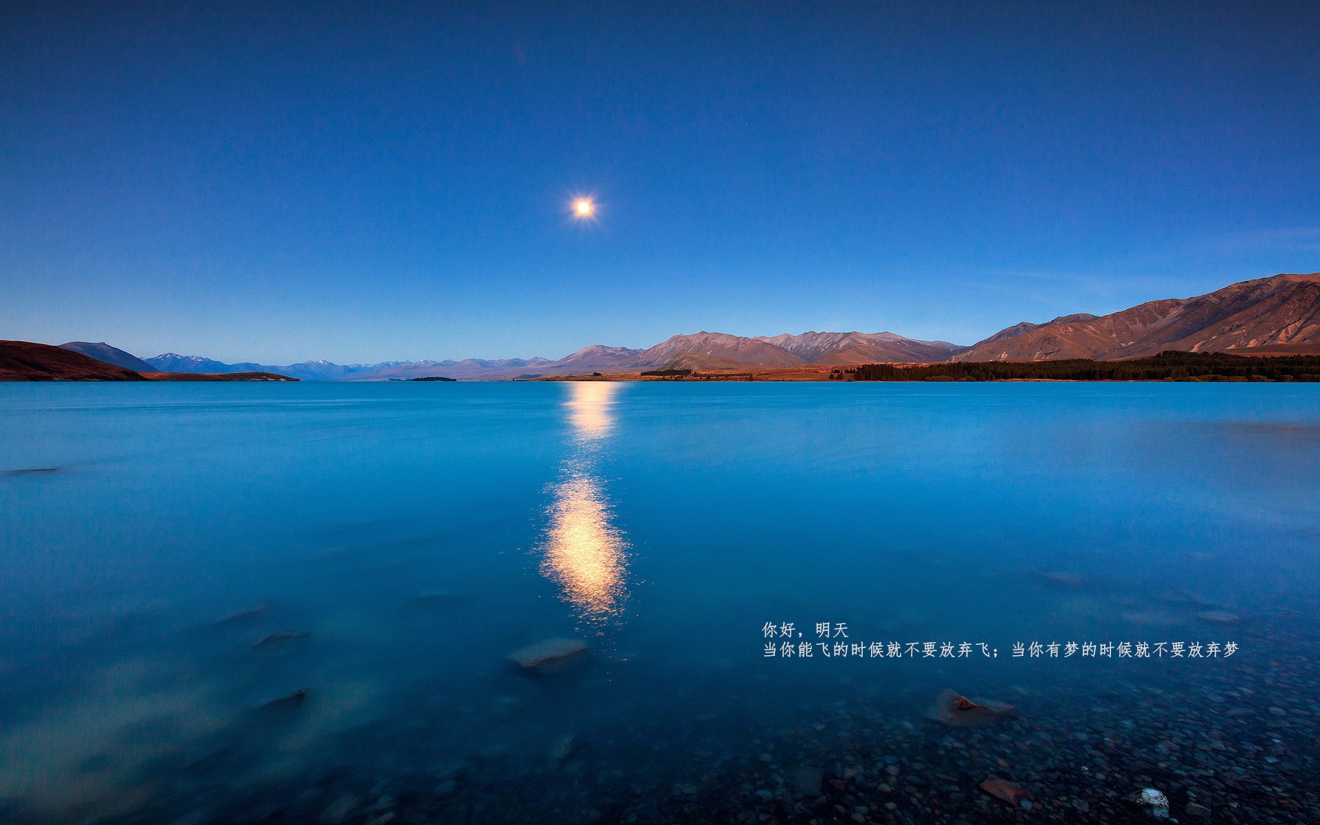 米切尔撕裂北京防线！篮网对决背后的冠军底蕴启示