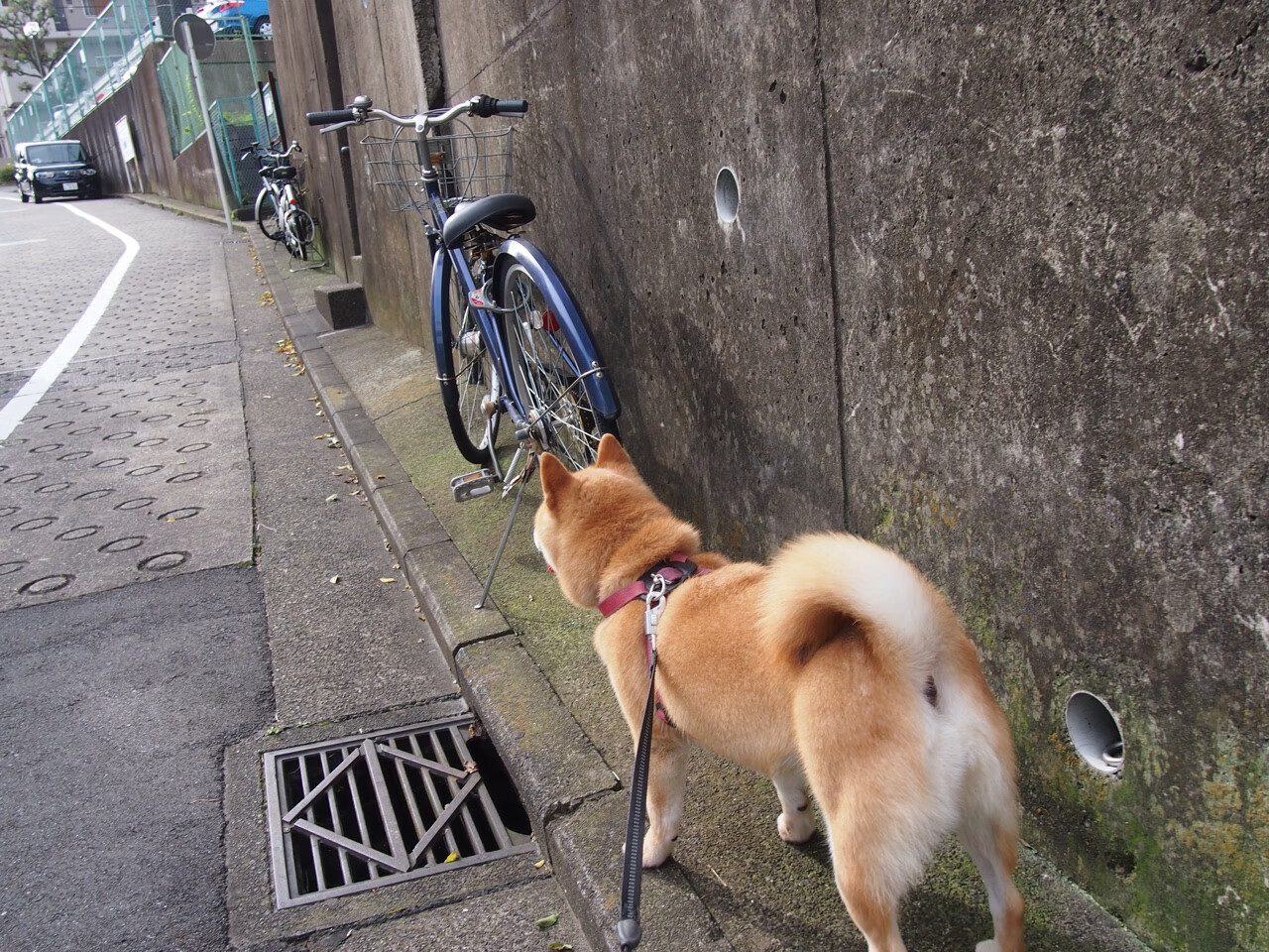 逆境战神！马丁内利加时赛爆发，玻利维亚绝境翻盘震惊足坛
