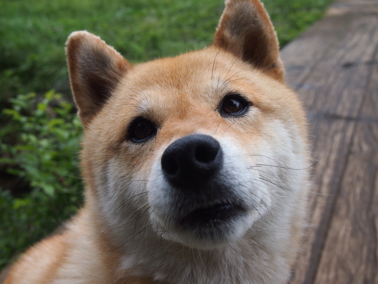 从杭州到麦迪逊,当浙江队客串尼克斯,保罗如何用东方智慧改写终局?