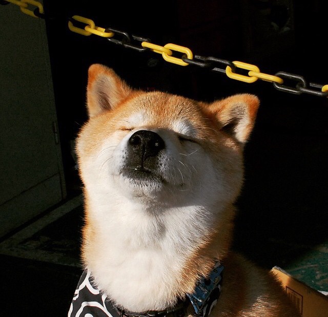 黑白直播在线观看nba-棋手与棋子，当切特、勇士与北京队共演一场篮球博弈论