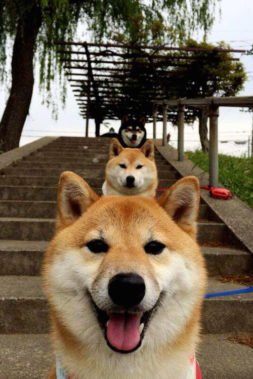 黑白直播体育-黑马的沉稳与传奇的余晖，2026世界杯，洪都拉斯崛起与苏亚雷斯接管