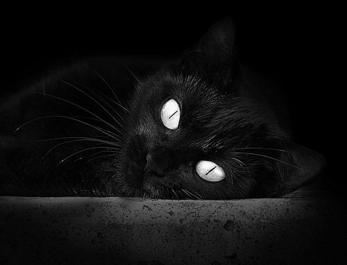 草根逆袭,委内瑞拉掀翻斗牛士,久保建英闪耀定乾坤