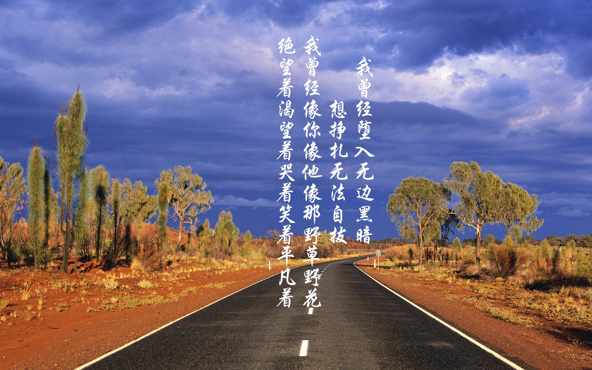 赛道即战场，当F1引擎与篮球心跳在城市血管中共振