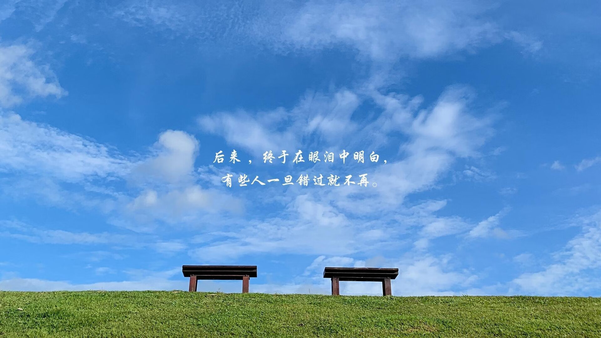 黑白直播免费体育直播-巅峰对决，上海队力克猛龙，英格拉姆关键先生定乾坤