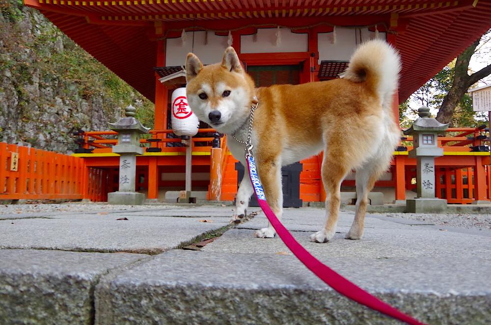 黑白直播nba在线观看-双线狂飙！西甲国家德比夜字母哥53分加冕硬仗之王