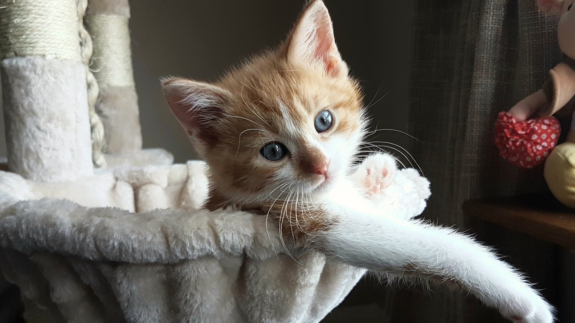 冰封意志破钢铁战车！东决焦点战诠释何为稳稳的幸福