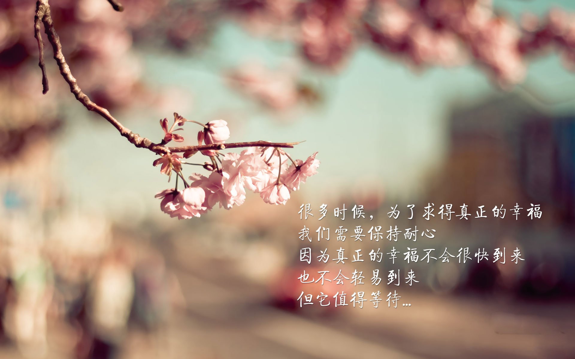 生死战逆袭！深圳队乔治化身战神，暴走输出击溃骑士