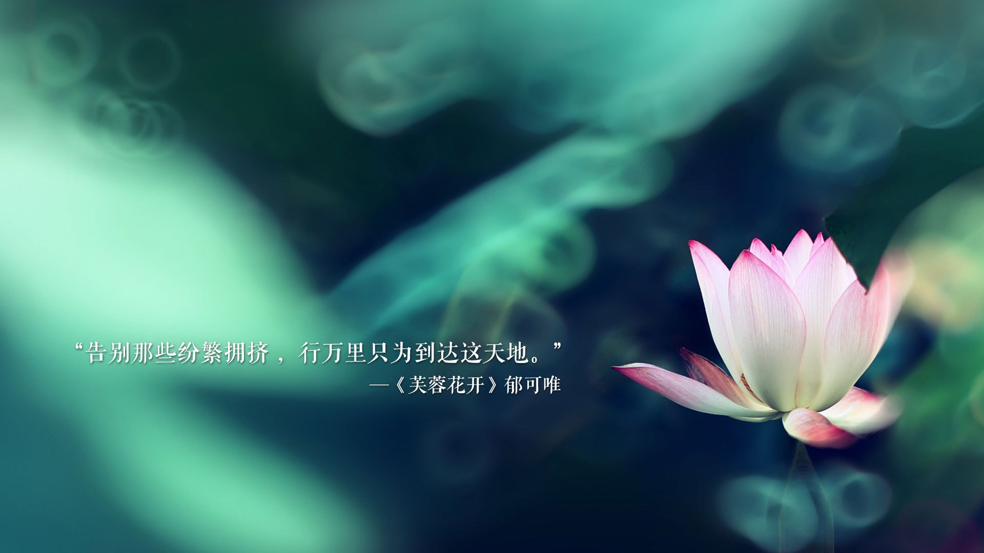 黑白直播在线观看-绿茵交响诗，当阿拉巴的节奏撕碎桑巴