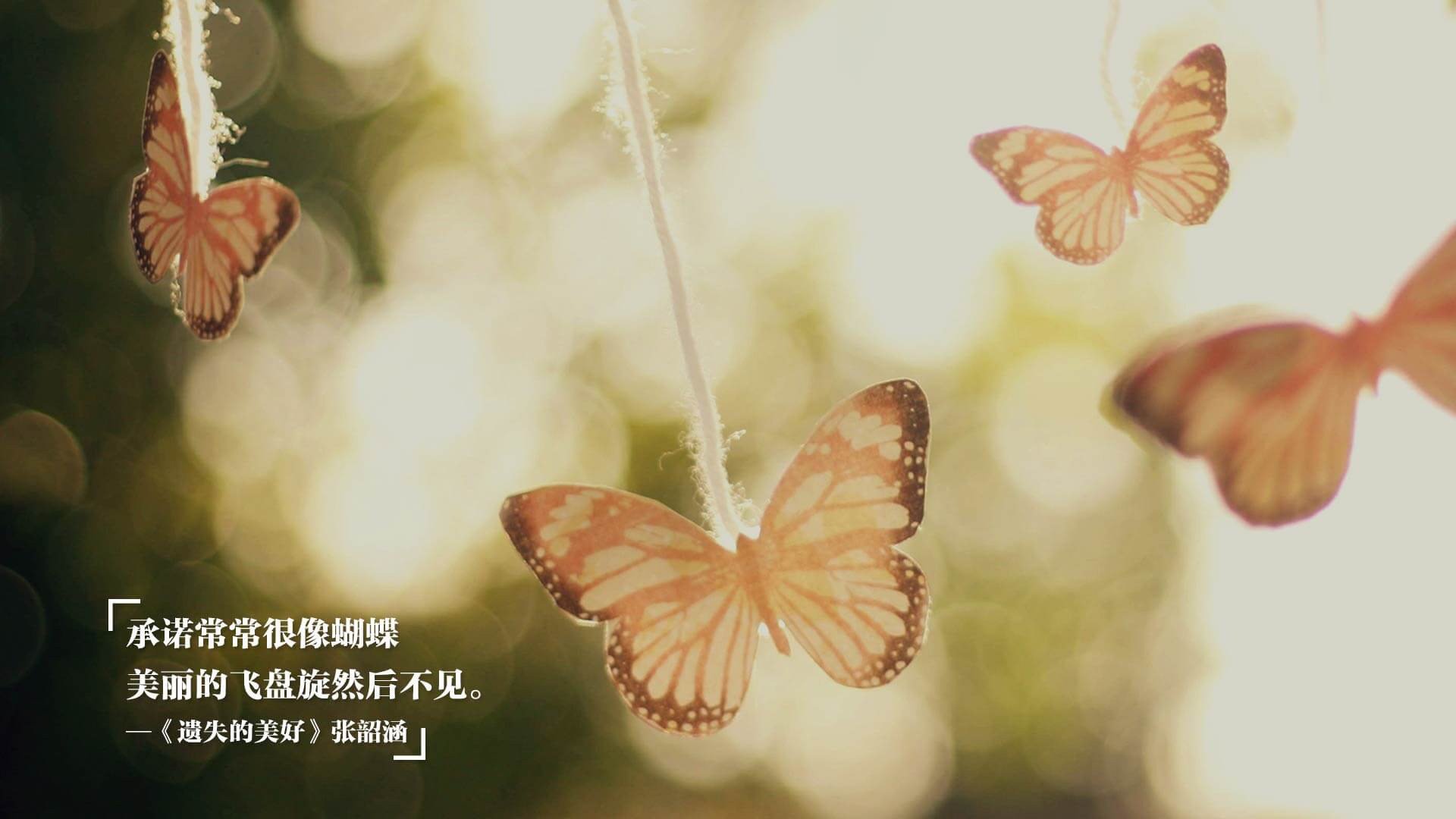 黑白直播免费体育直播-铁壁铜墙中的致命一击，加纳绝杀罗马尼亚，2026世界杯B组震撼开局