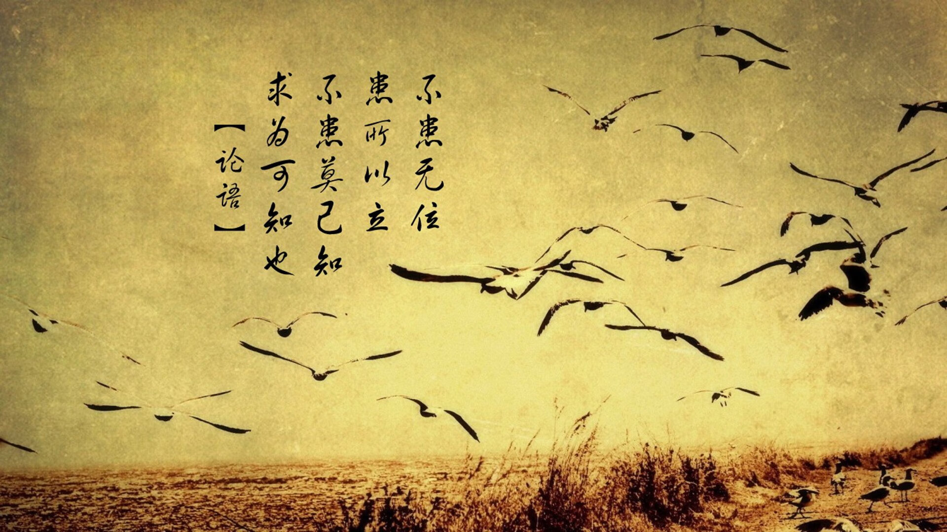 沙漠之狐的逆袭,德布劳内绝命一击,摩洛哥逆转阿联酋挺进八强